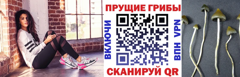 Купить где  Заозёрный  Галлюциногенные грибы MAGIC MUSHROOMS 